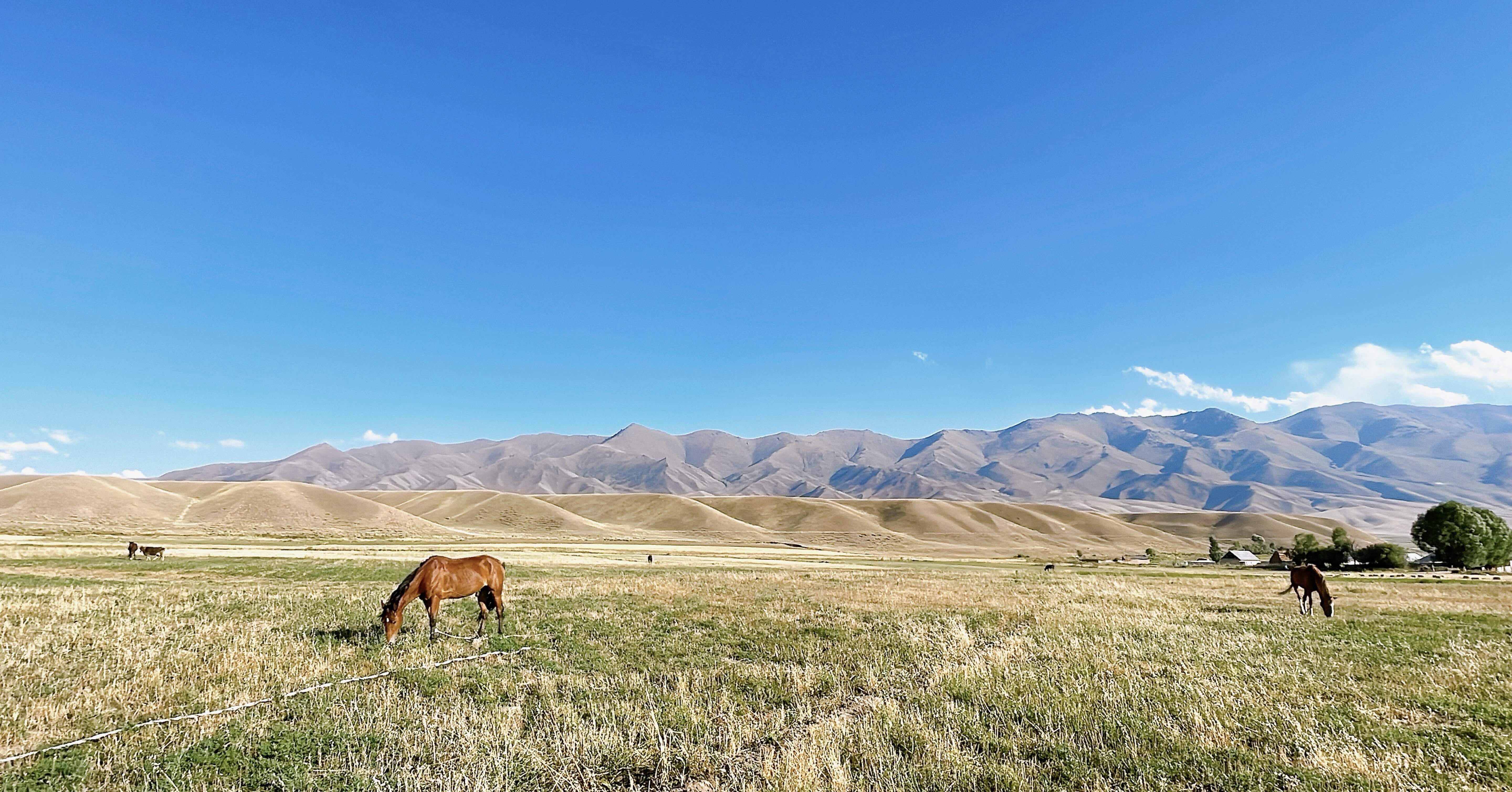 007fd42fe7b9cd92a7d6e8c91fe873