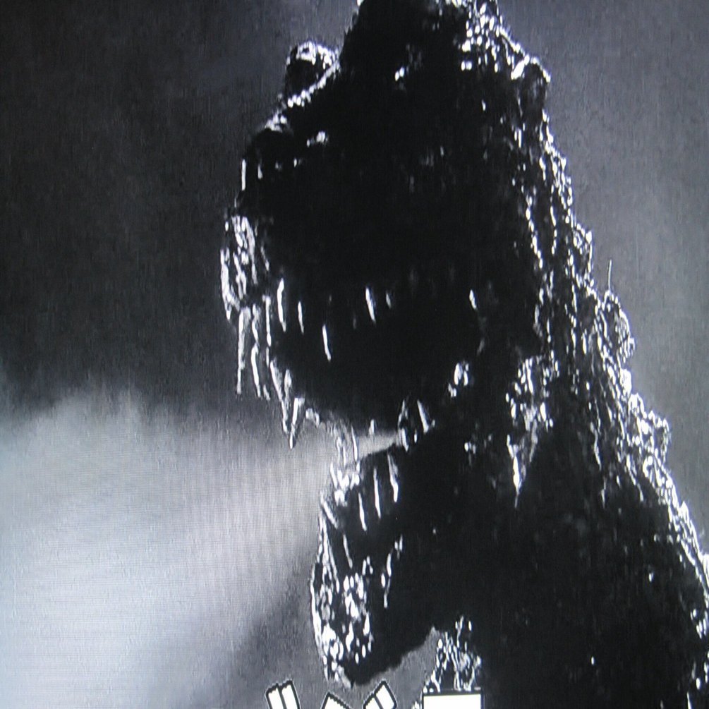 本多猪四郎監督の映画「ゴジラ(1954年)」レビュー「『同じ過ち』を