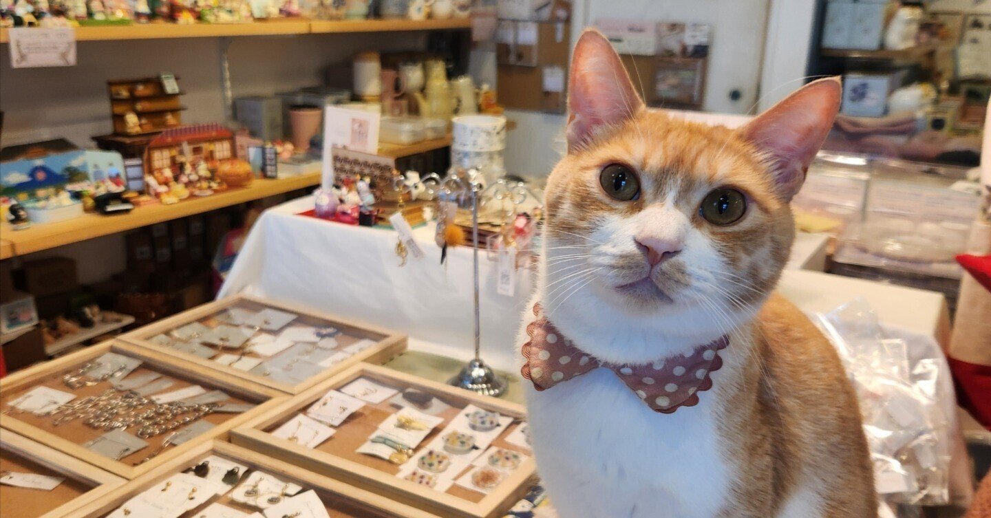 ミナペルホネン ハンドメイド ⭐猫 (*ΦωΦ) 顔ほぼ黒シャムちゃ〜ん 秋b9