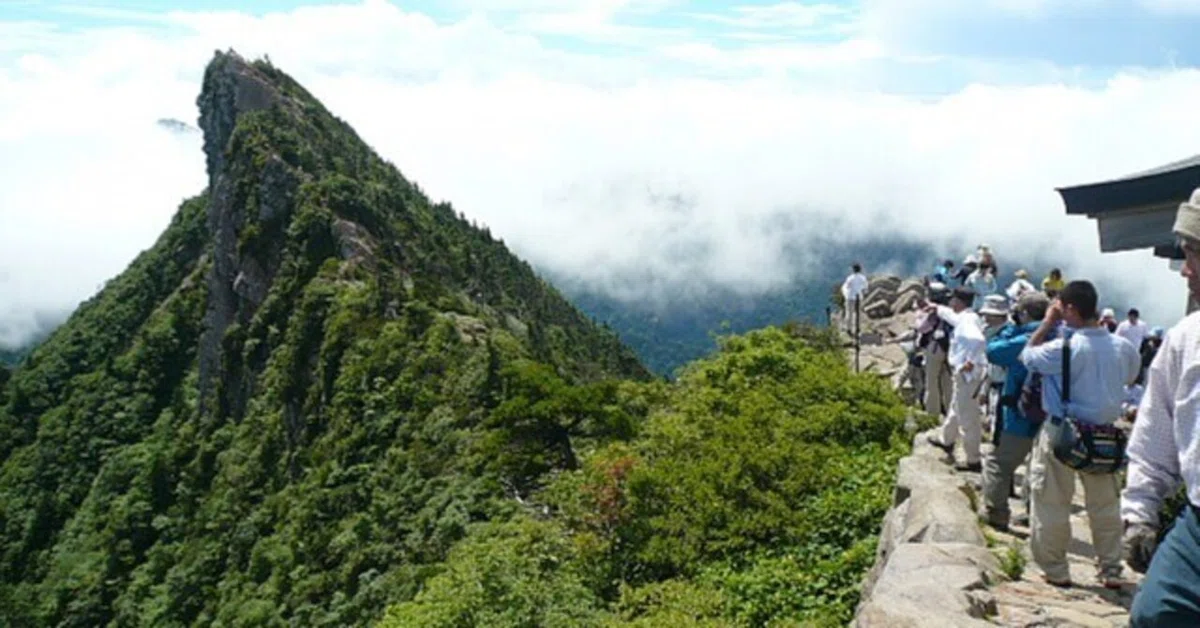 ☆カルサイト☆神代三山・神立山転石【TAKAMAGAGYOKU①・40CT】 【公式