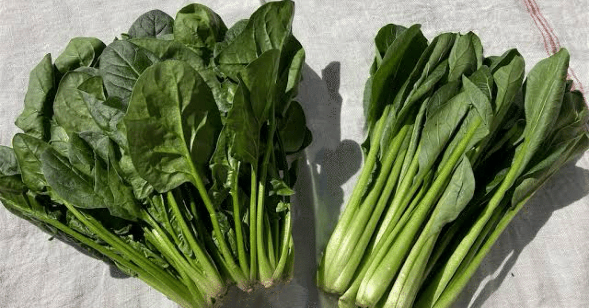 35c93226be8f1c534df5b014abe048