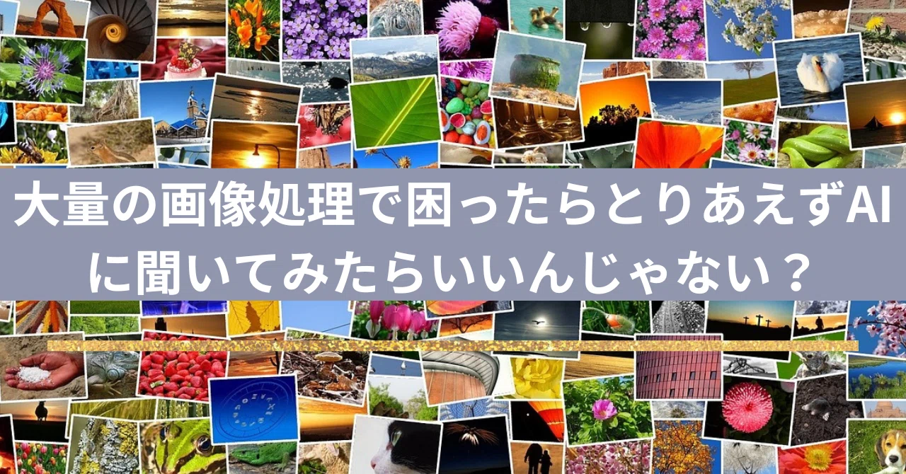見出し画像