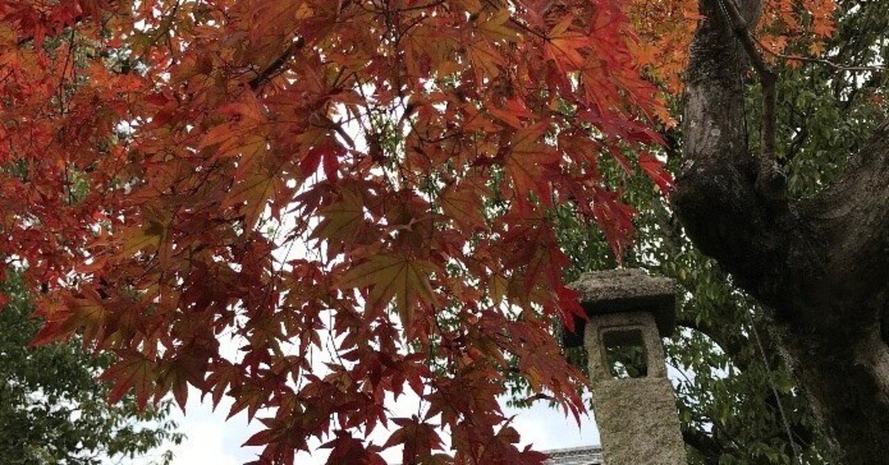 蓮月さんに逢いたくて｜理子（ともこ）