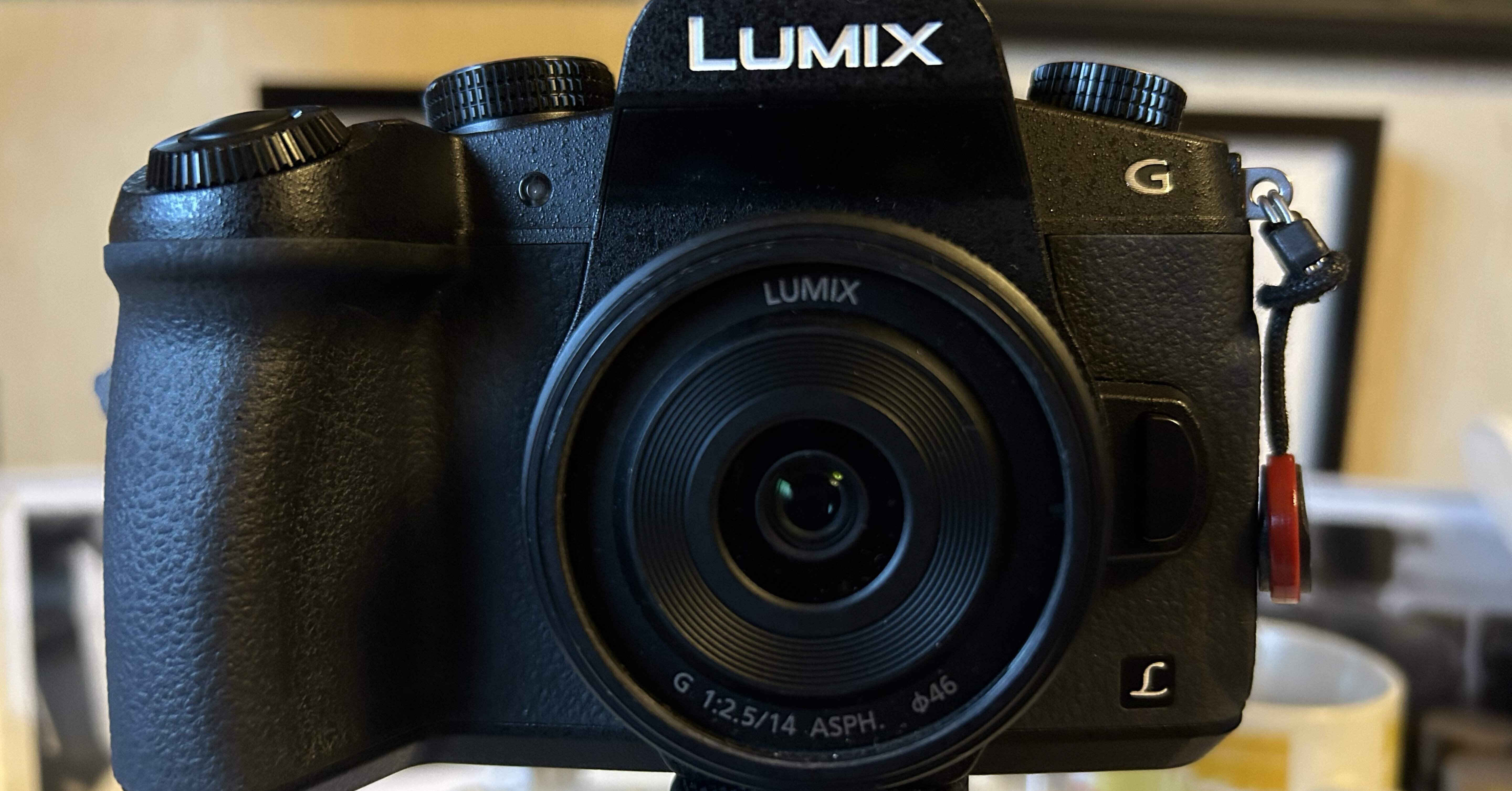 美品 パナソニック LUMIX DMC-G8 ショット数4458回 美品 パナソニック LUMIX DMC-G8 ショット数4458回