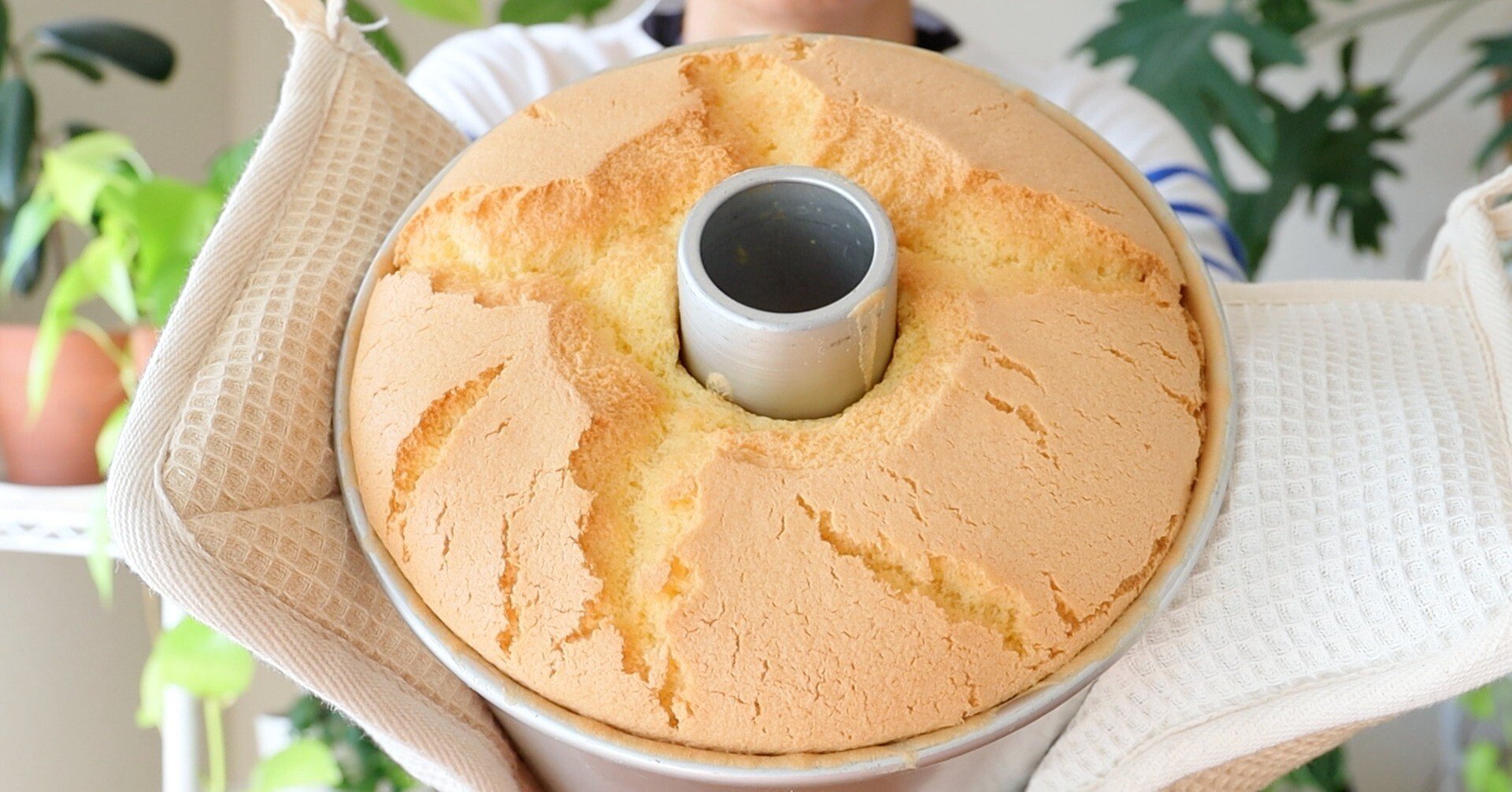 管理栄養士の甘くないお菓子】米粉シフォンケーキレシピまとめ 型別