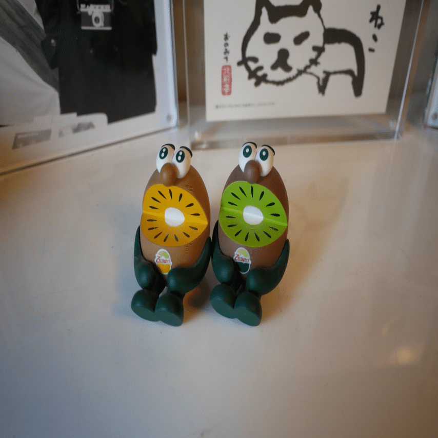 LUMIX G8 ｜SACHIKO_S