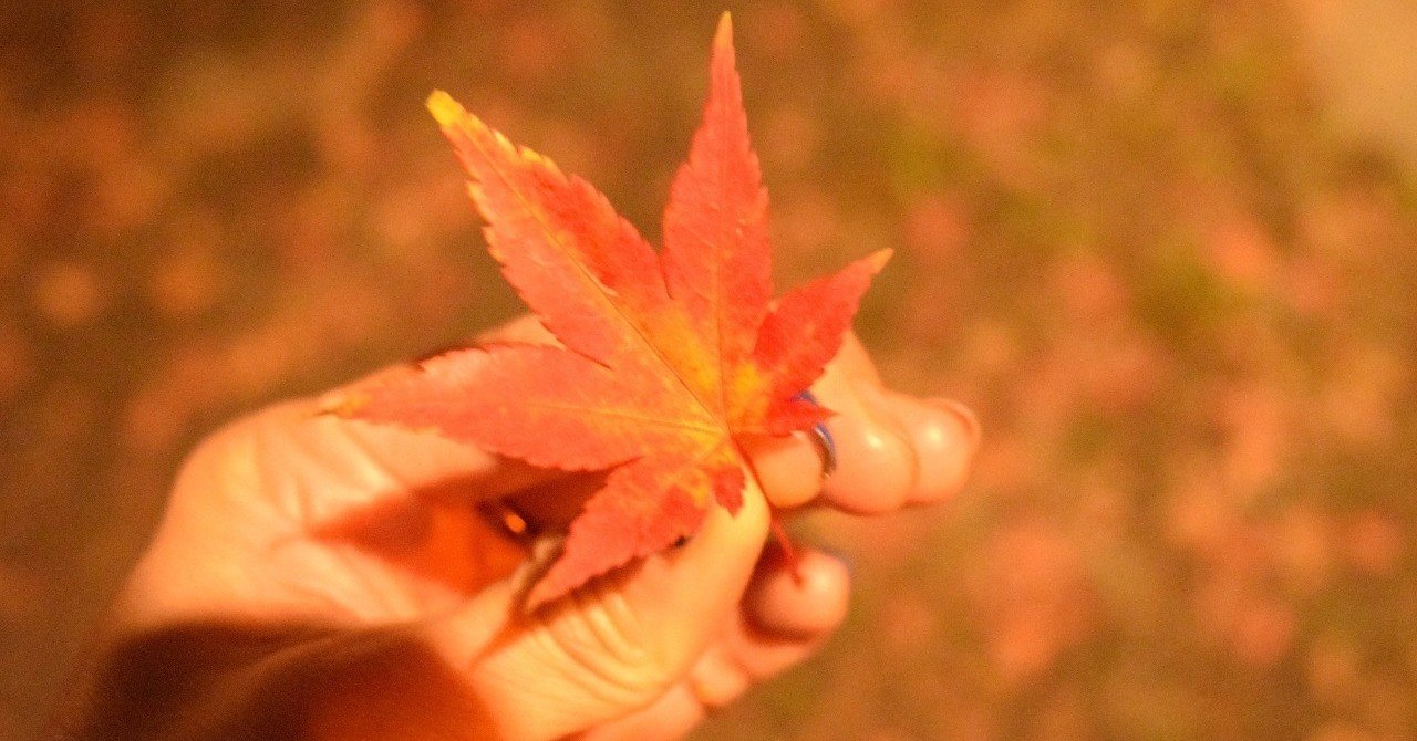 10年ぶりの ポケットにファンタジー を聞いて感じたこと オカピ エンタメプロデュース 編集者 Note