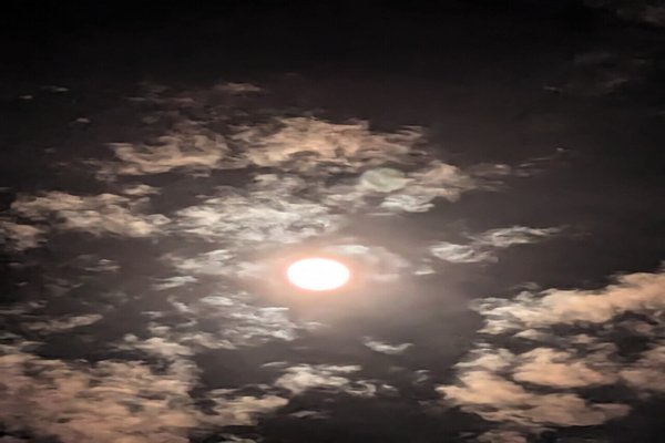 ビーバームーン」の人気タグ記事一覧｜note ――つくる、つながる、と  