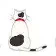 きなこ