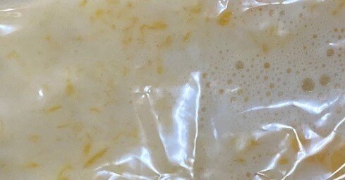 アライグマの毛皮なめし③アルミ鞣し｜黒乃