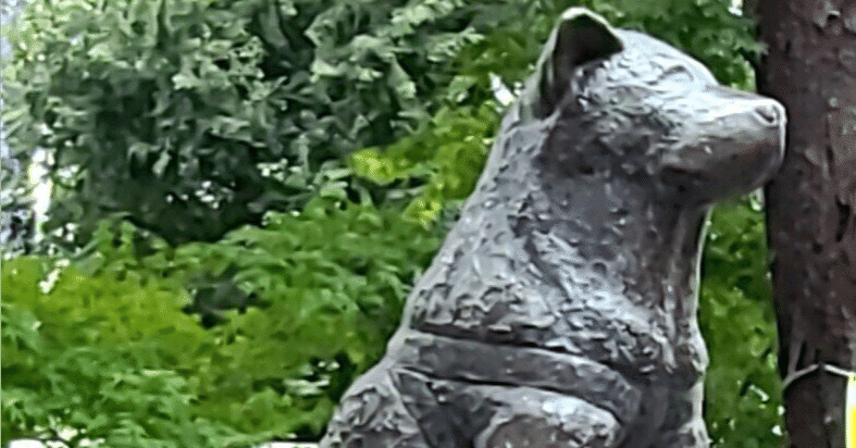 短編「怪獣ハチ公」｜上村 楽園