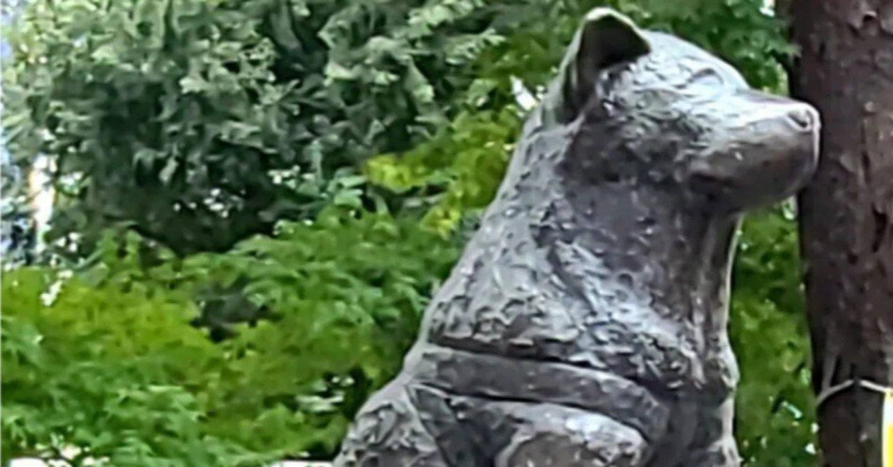 ハチ公 短編「怪獣ハチ公」｜上村 楽園