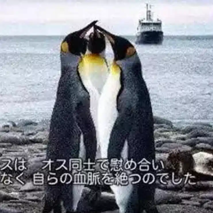 294まいける/福島いける