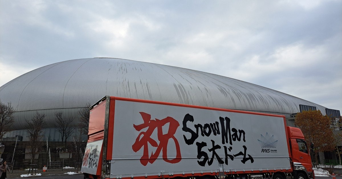 【未開封】SnowMan おいし スノーマン rays レイズ　ペンライト　パーカー