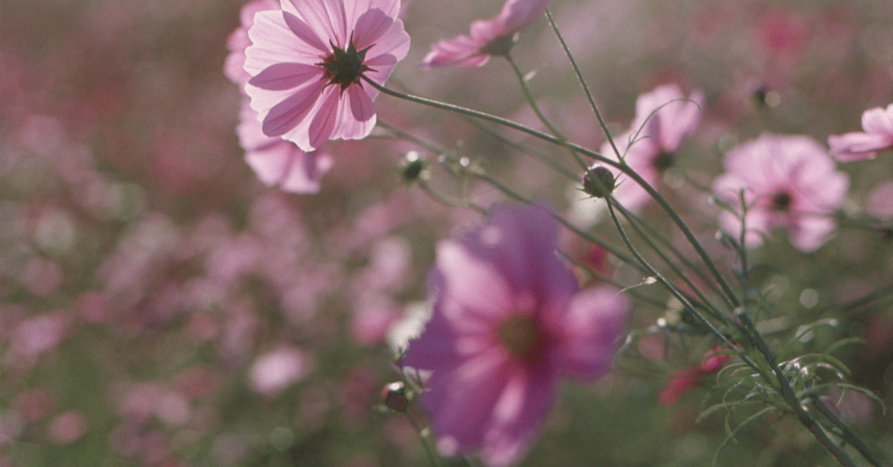 US Market 20241115｜株式岸部