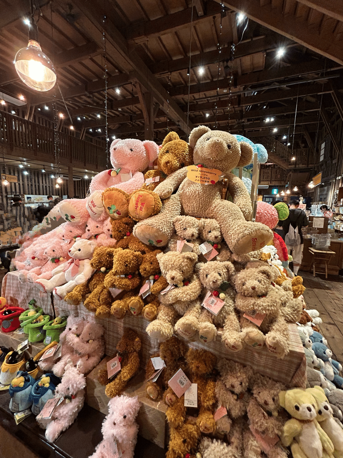 小樽オルゴール堂 ぬいぐるみオルゴール アローラロコン ポケモン