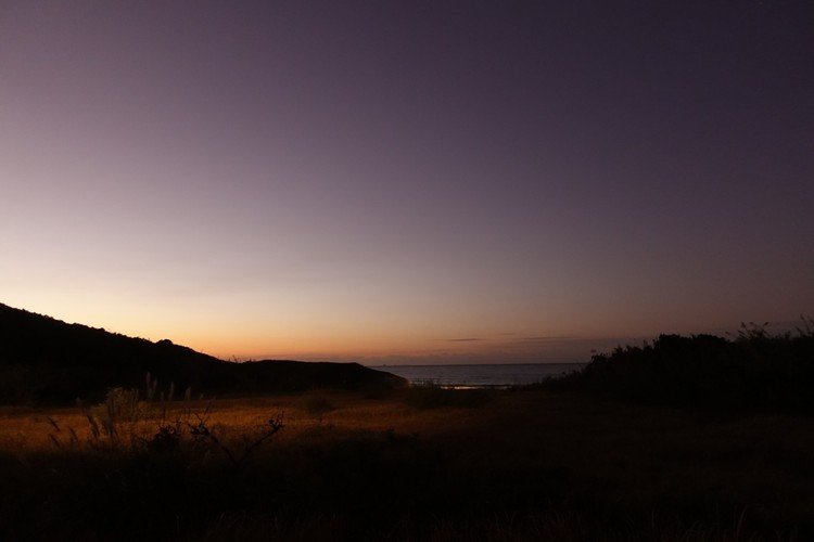 #写真　#magichour #息を飲む美しさ　#purple #かたわれどき　#1000日チャレンジ　