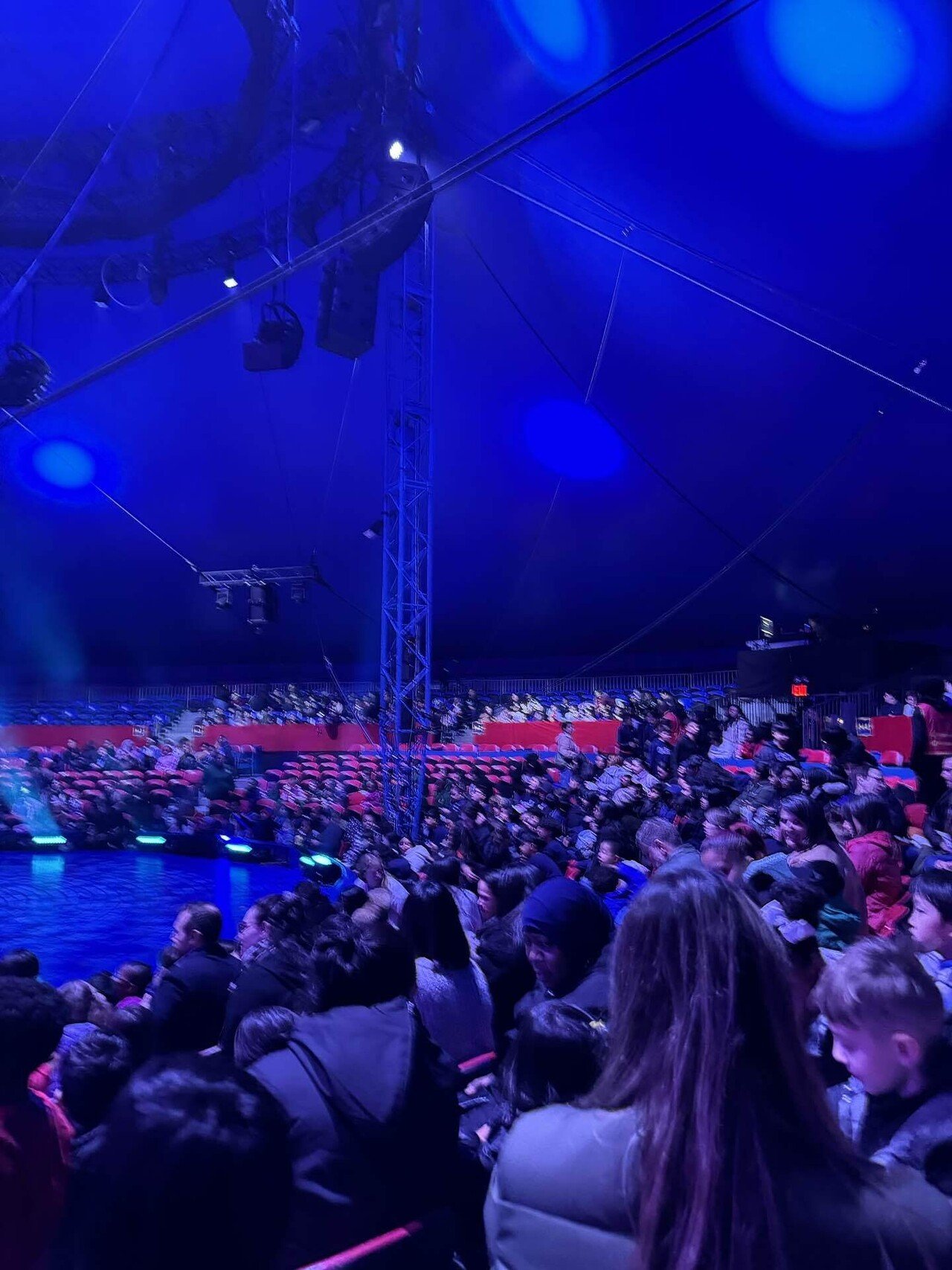 ニューヨークで困っています】小学校遠足でBig Apple CIRCUS