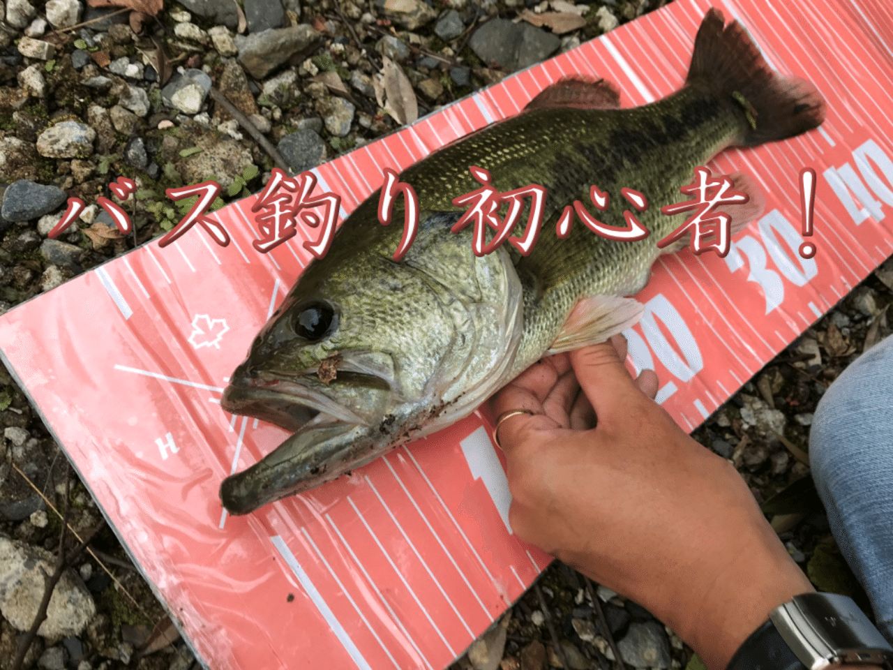 0 初心者による初心者のためのバス釣り講座 ってなんやねん 初心者による初心者のためのバス釣り講座 Note