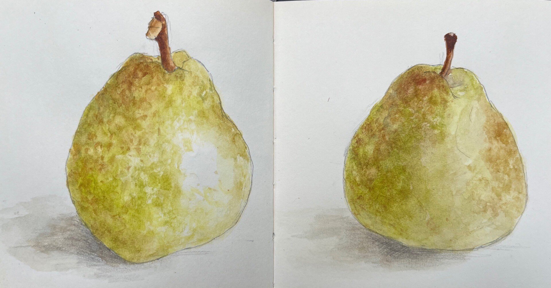 好きでよくお手本にしていたSARA MIDDAの植物画｜toti