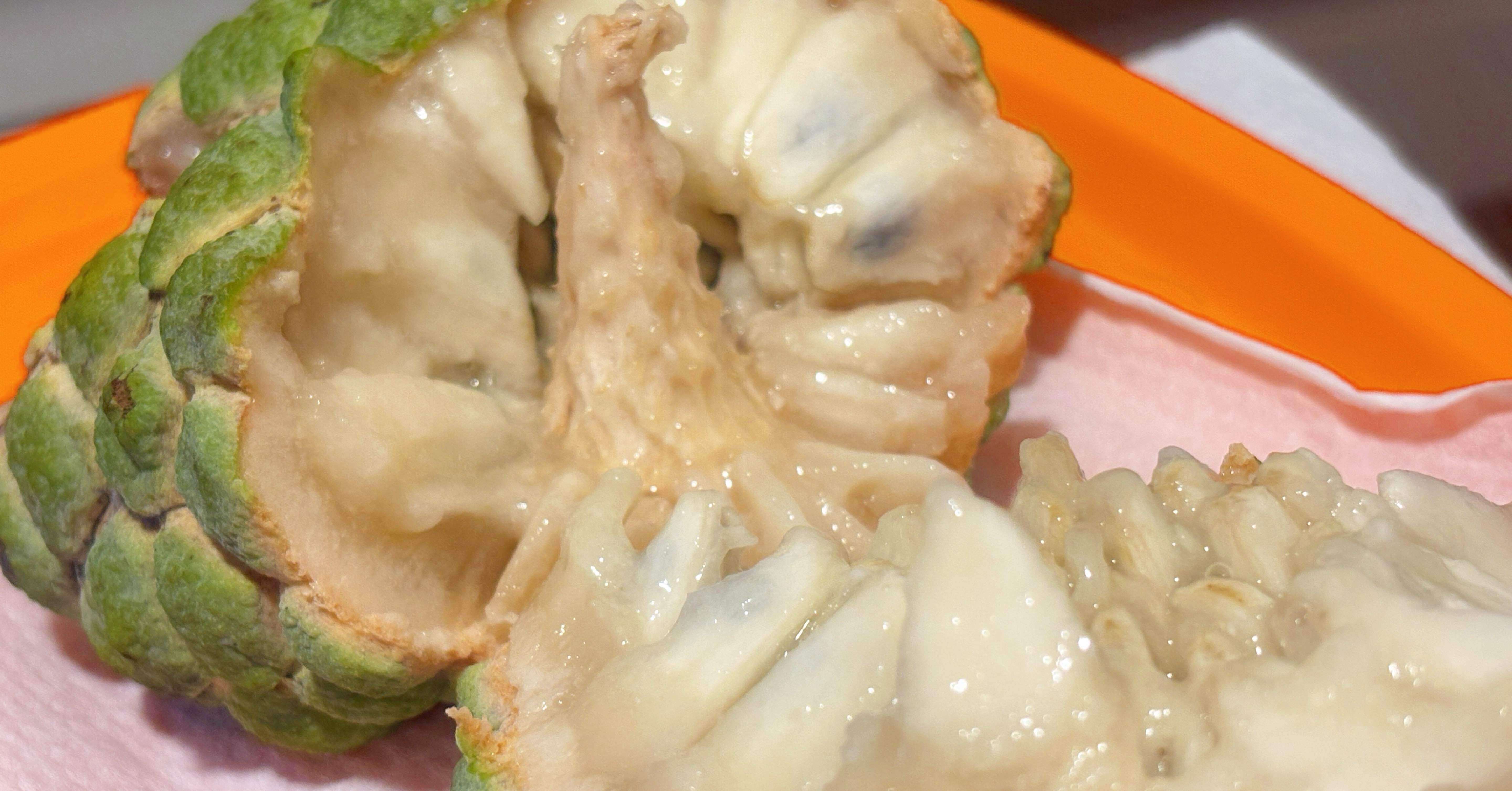 41e7d0b69999fc2e151c57ed8c9d7f