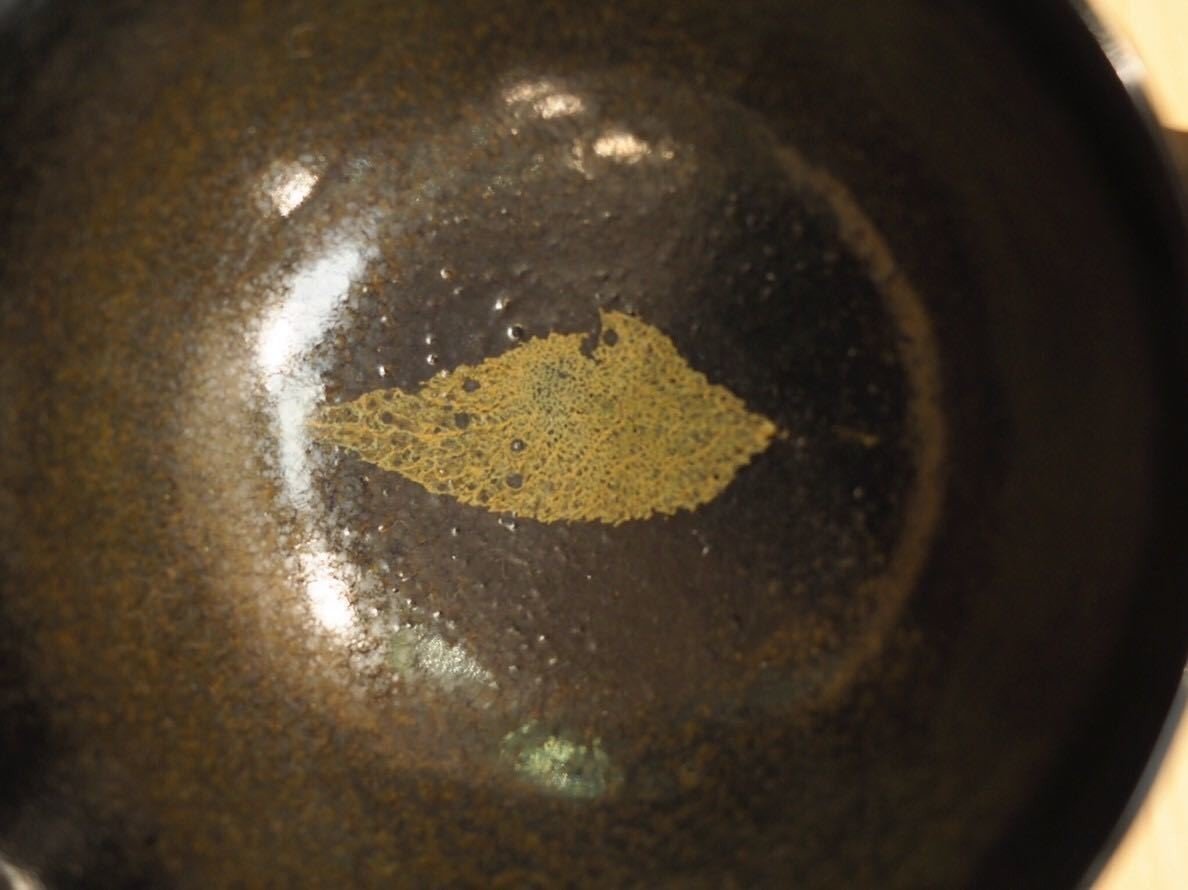 植物研究者が「木葉天目」を考える｜Hiroki TAGA