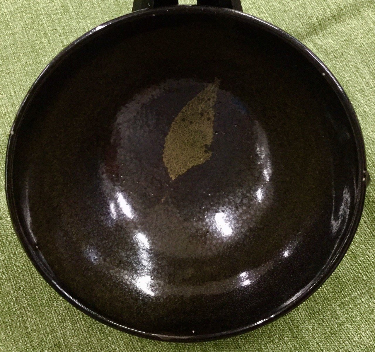 植物研究者が「木葉天目」を考える｜Hiroki TAGA