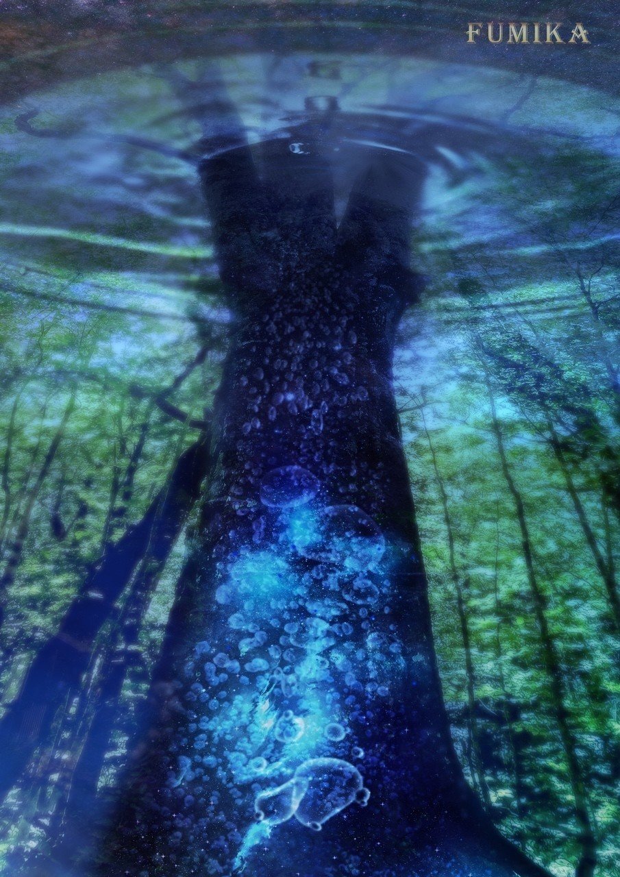 水中木 Fumi Note 水中木 Fumi Note