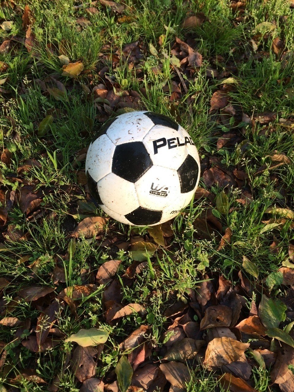 Pelada Hideki Ikeda Note