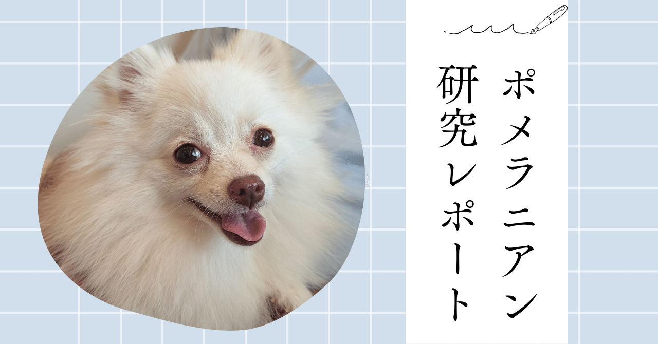 noteの街のセラピー犬。#302【愛犬編】クラシック音楽の中で、犬のブラッシングをやってみた。｜Luna_Pome