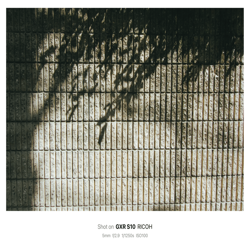 GXR 作例】RICOHが出したコアなカメラ｜柚(Shia)