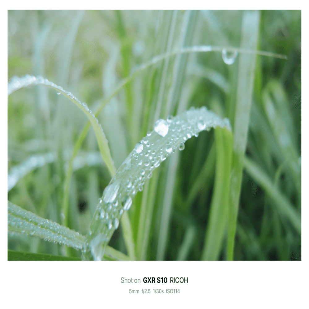 RICOH GXR 特別セット 作例あり❗️ RICOH GXR 変態カメラから見る