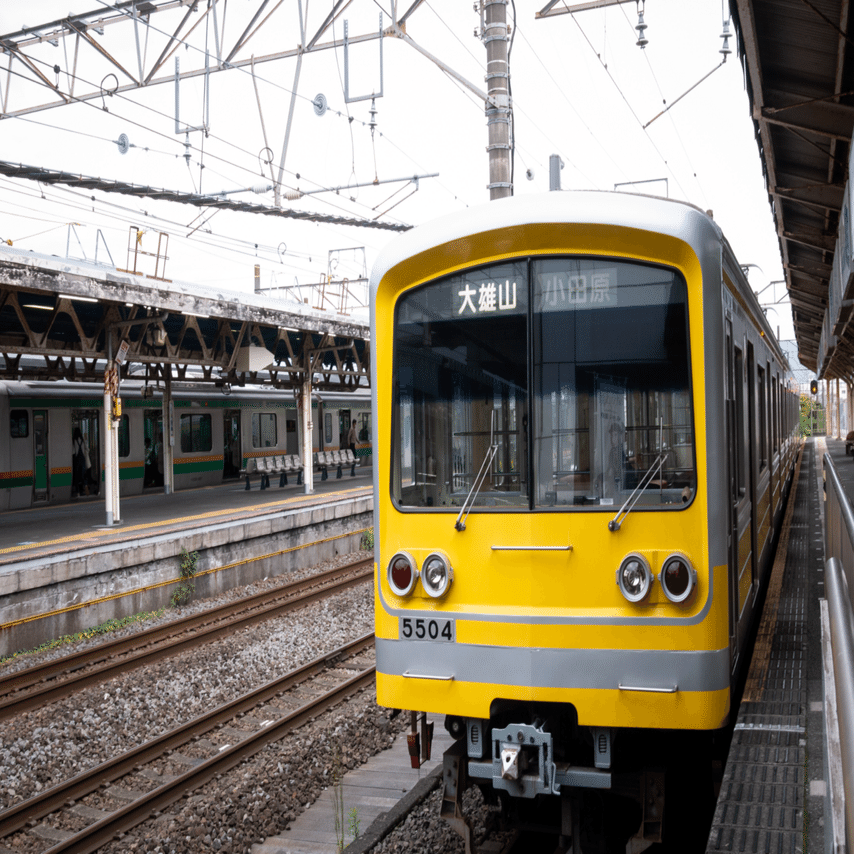 天狗の棲む山、大雄山最乗寺｜SACHIKO_S
