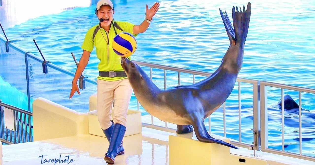 水族館 飼育 員 給料
