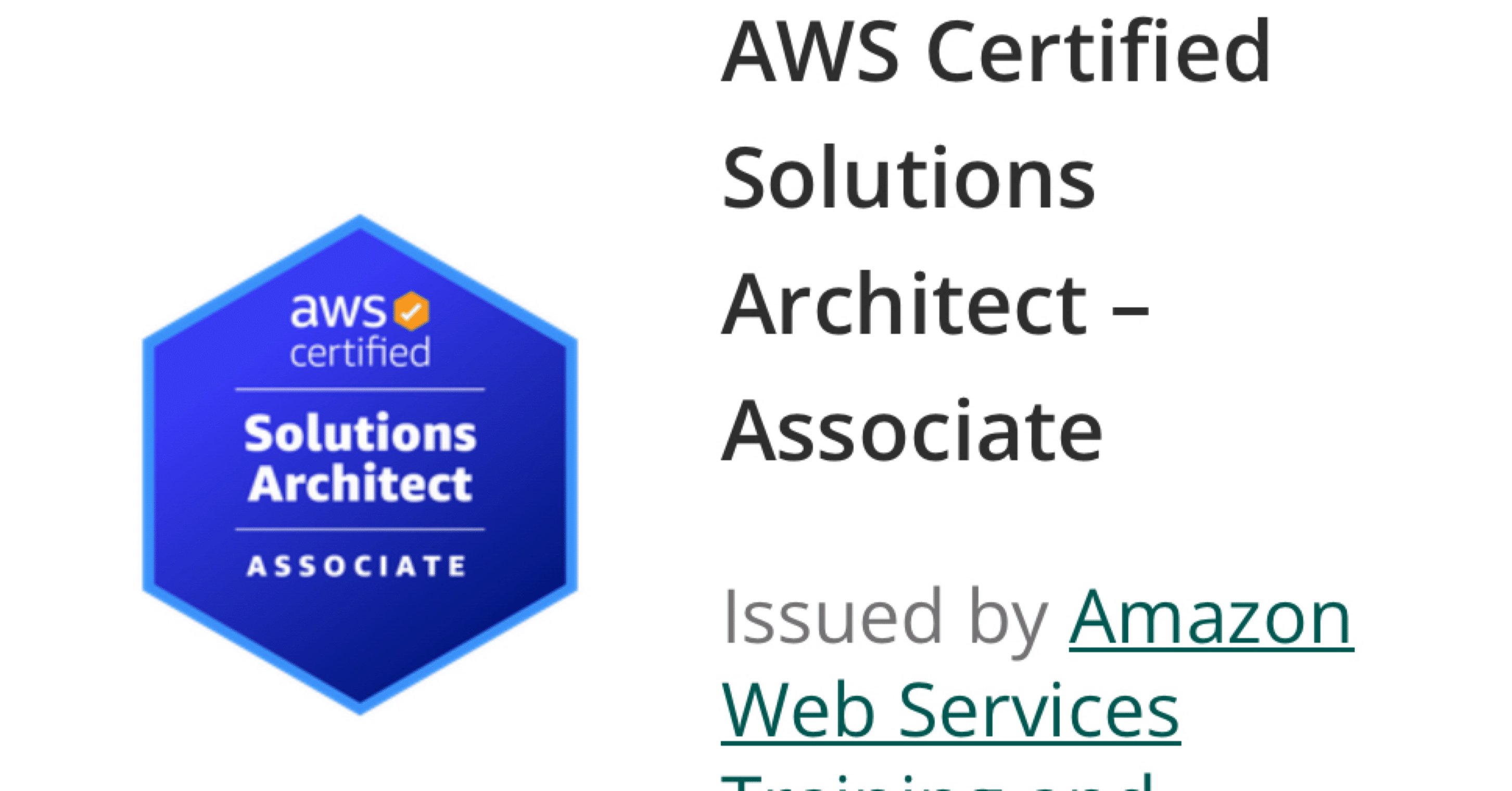 コンピュータ・IT AWS Certified Solutions Architect 番外編)一発合格！AWS Certified Solutions Architect -Associate SAA