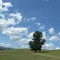 森川 苺