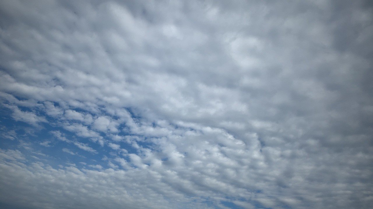 まだ ちょっと薄曇りな空 うろこ雲 今朝は アウターなしでも大丈夫でした んー お昼ごはんは 魚が食べたいかな笑 あめちゃん Note