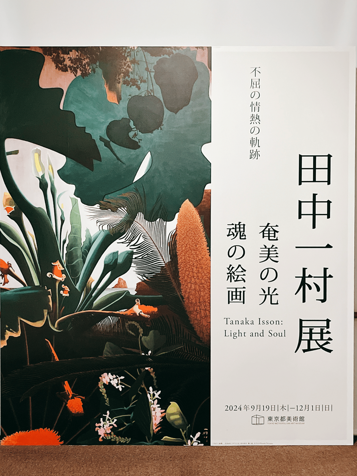 閻魔大王えの土産品「田中一村展 奄美の光 魂の絵画」東京都