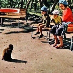 杉本健吉が描く鳥瞰図｜犬山日本一桃太郎会