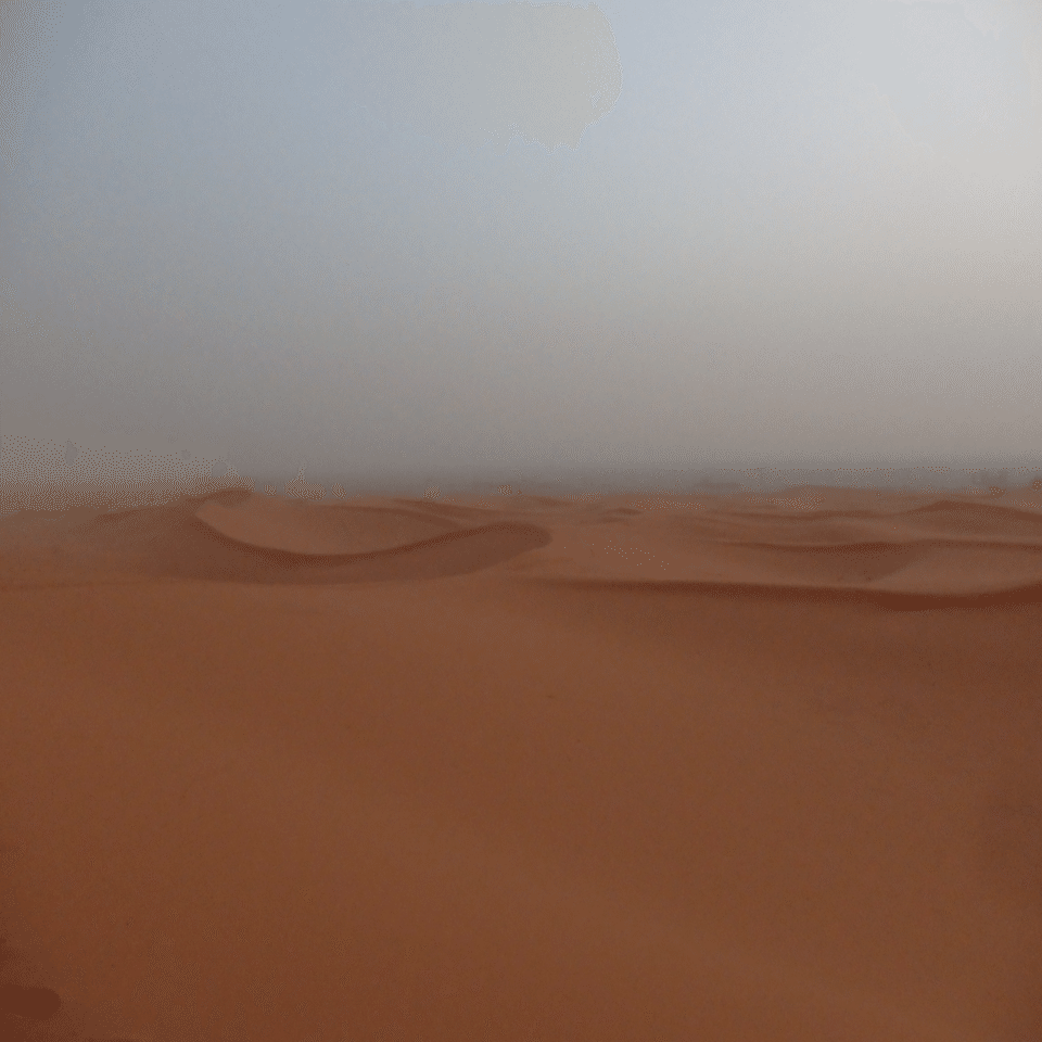 モロッコ旅行を終えて（2024年8月、モロッコ⑧）｜ちろまき