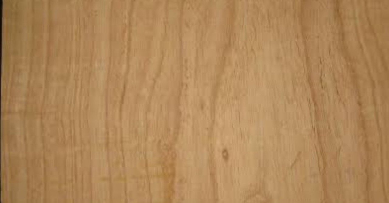 スワンプアッシュ｜timo