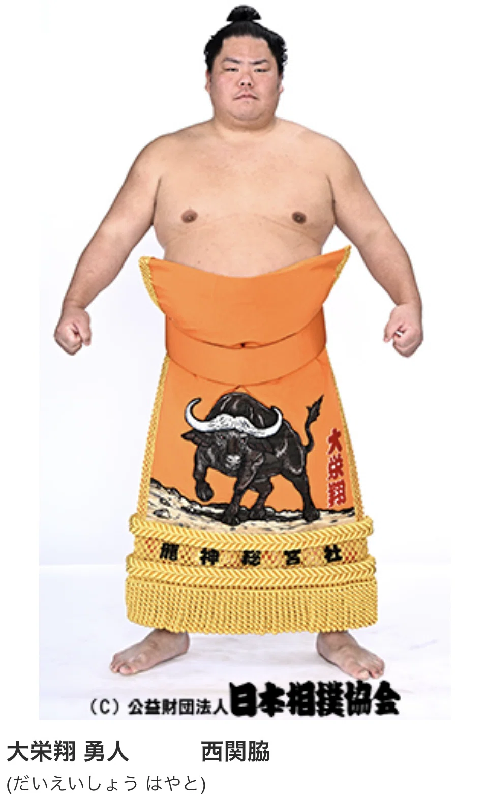 大栄 翔 勇人