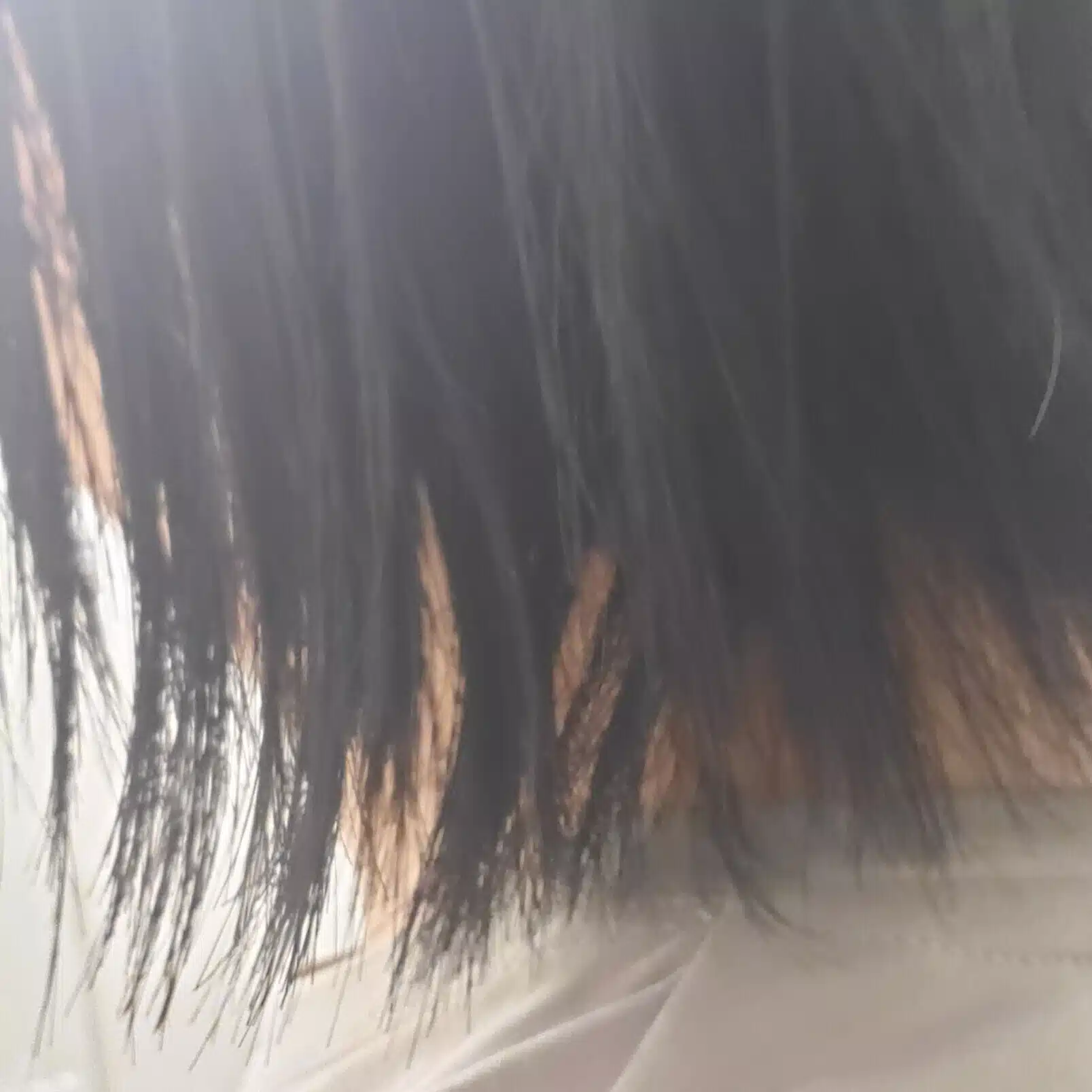 こっとん