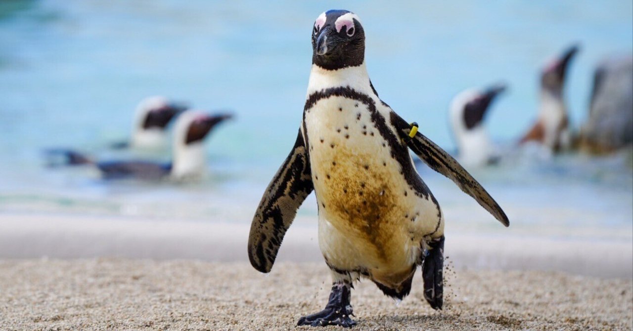 レポ#70 仙台うみの杜水族館｜haru