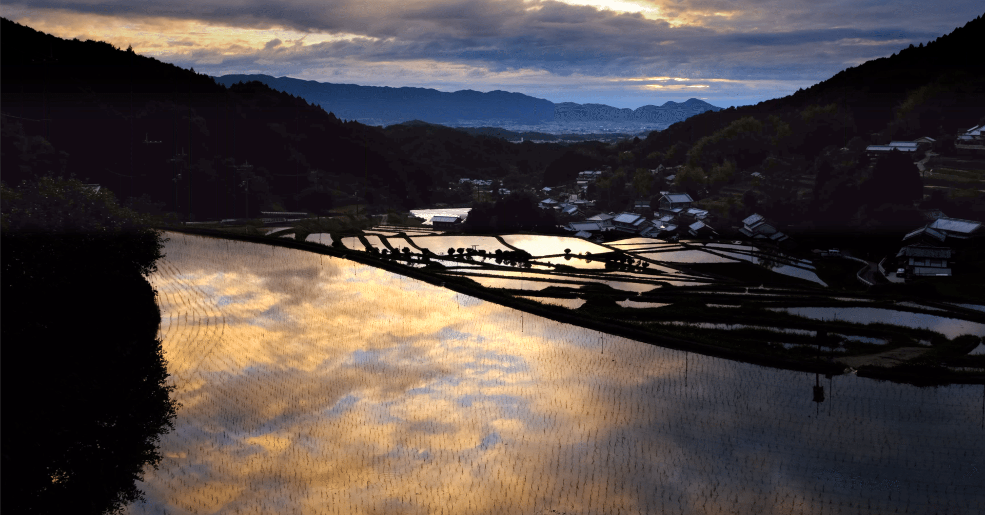 ヤマトノミカタ＃7「明日香村の棚田」｜保山耕一