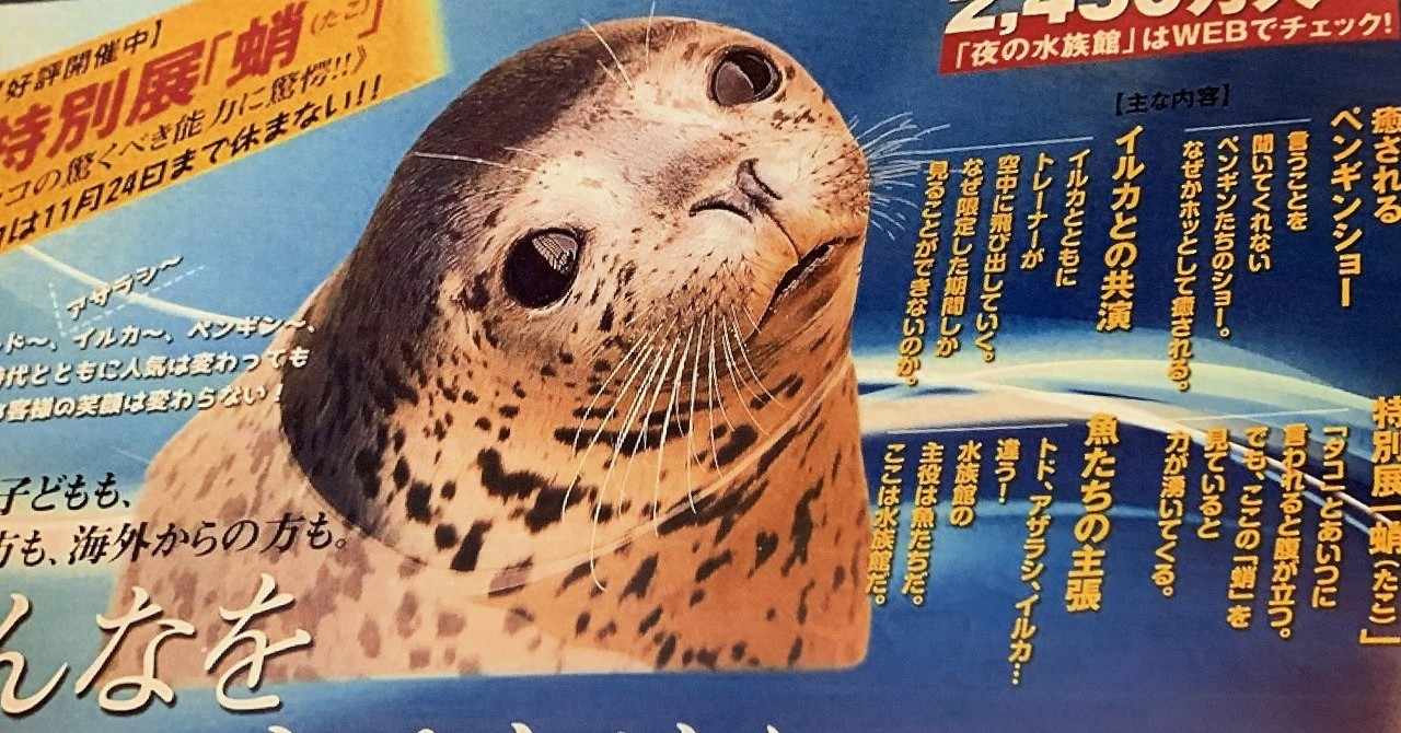 かわいい動物画像 ベストかわいい ゴマ アザラシ イラスト