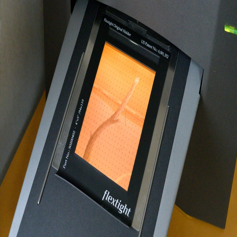 写真について知っているいくつかのこと Vol.38】Flextightの