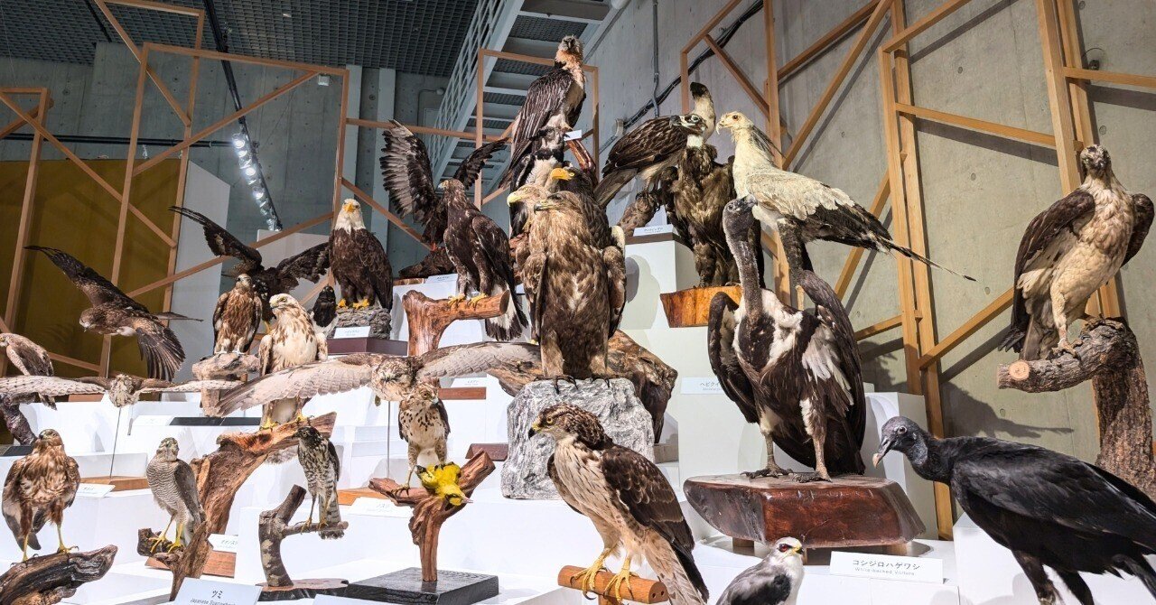 鳥と神父 josefranky | 『鳥』 2011年 絹本着彩 55.8 × 113.1 cm Birds 2011