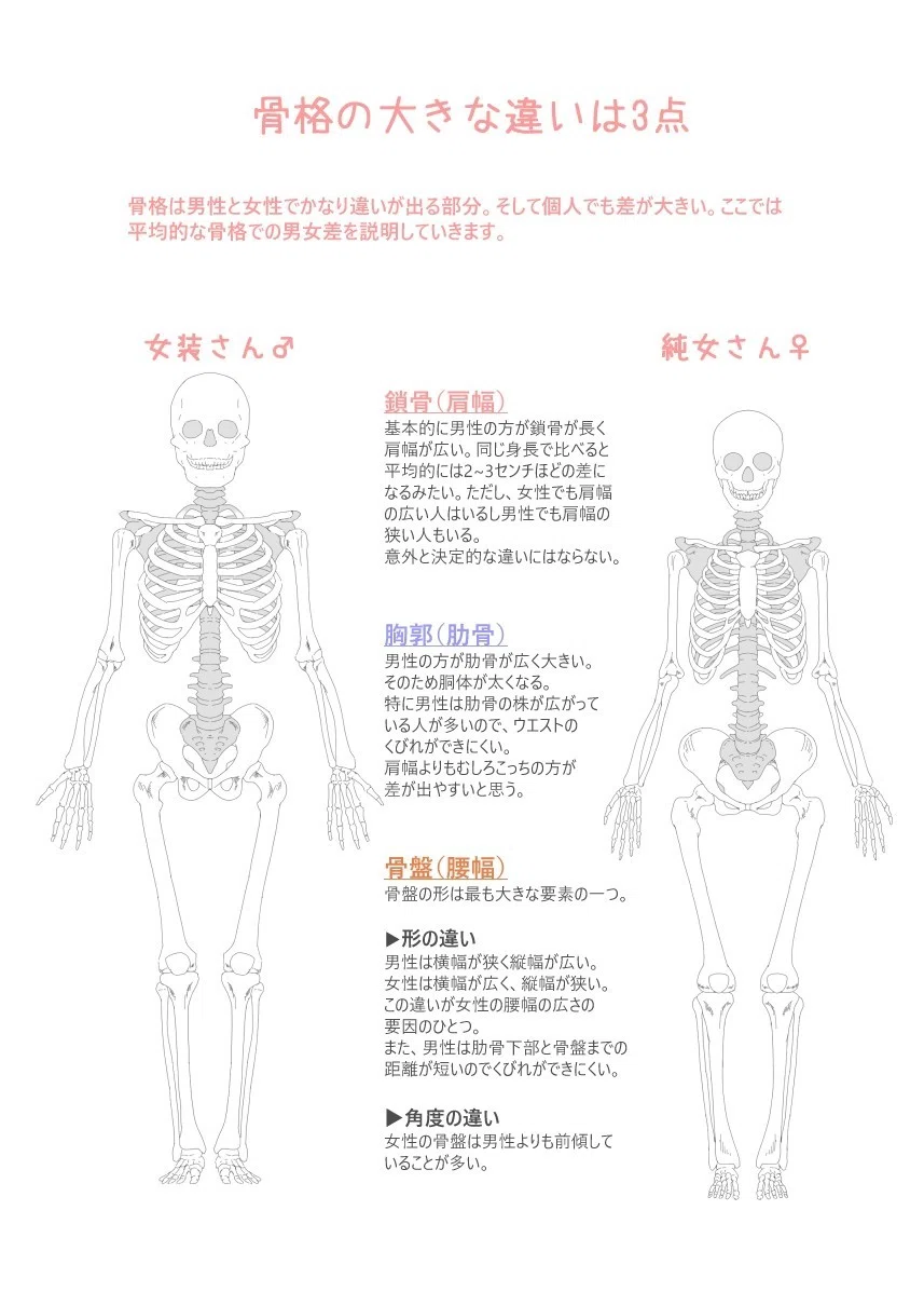 女装男子のためのボディメイクの教科書 もやし子 Note 女装男子のためのボディメイクの教科書 もやし子 Note