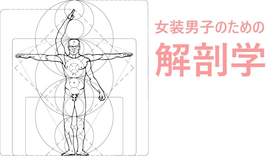 解剖学